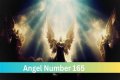 
ANGEL NUMBER 165
