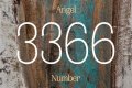 
Repeating Angel Numbers - 3's and 6's  (3366, 3636, 6633, 6363 etc)
